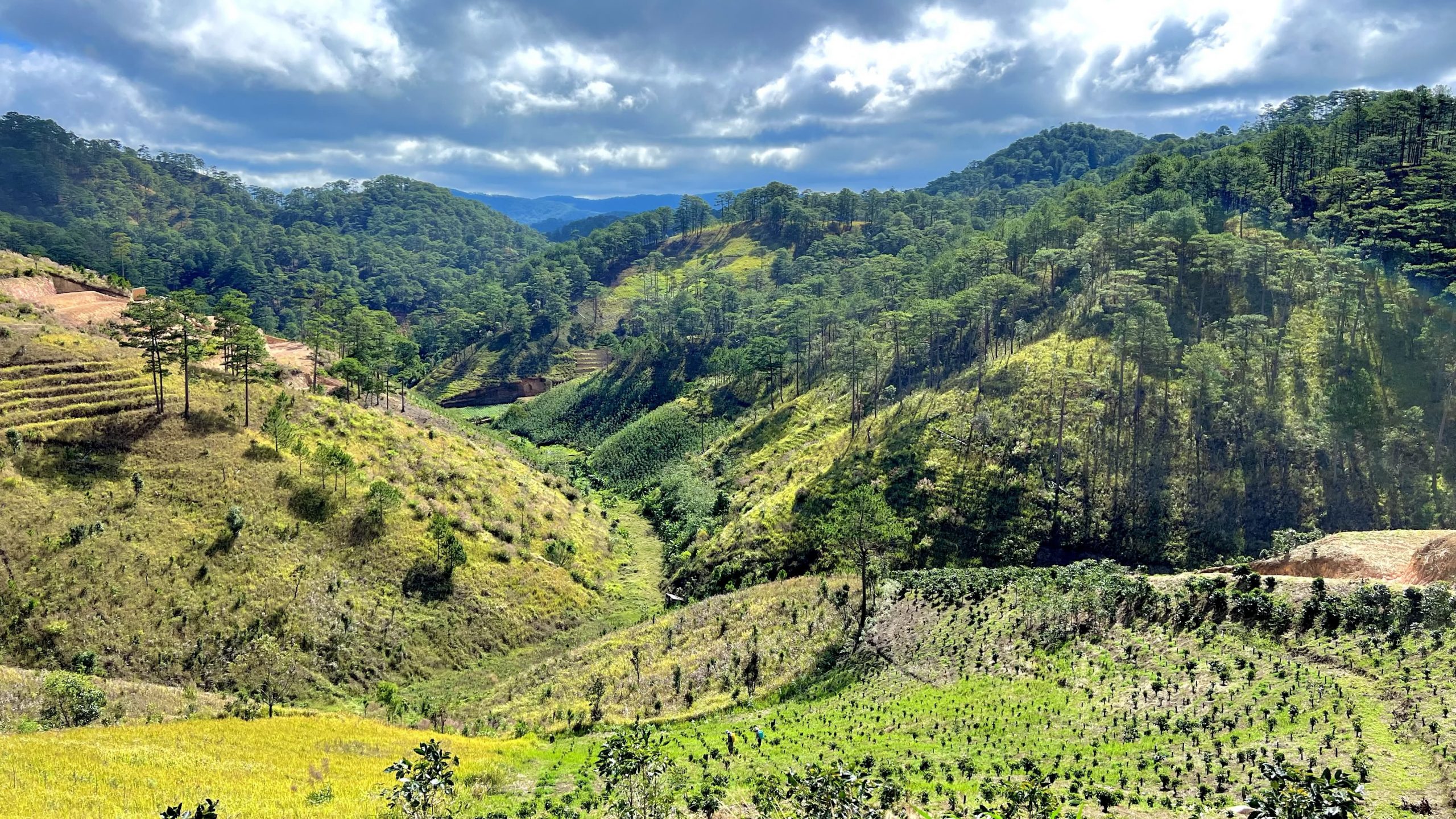 Bán đất Đà Lạt view đồi thông diện tích lớn đường ô tô tận nơi